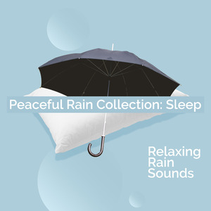 Tree Branch Raindrops