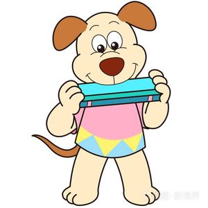 当年情-C调（通辽鹏哥）