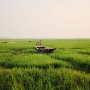 《一平方厘米的坚守》