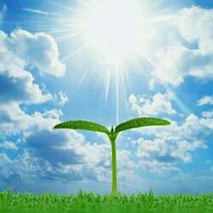 虞美人春花秋月何时了