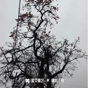 我的爱被埋藏