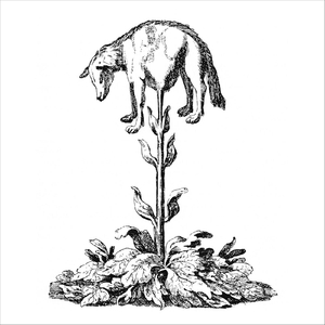 Gerald Ist Aus Kohlenstoff