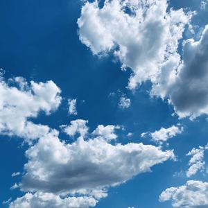 你是我最愚蠢的一次浪漫