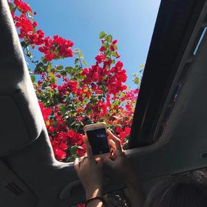 The Chainsmokers-Closer（张鹤方 / 9DIUZ remix）