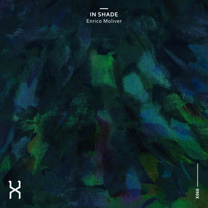 In Shade (Original Mix)