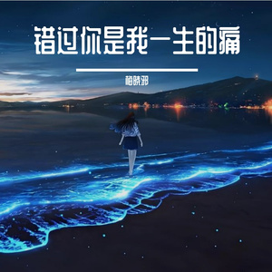 错过你是我一生的痛