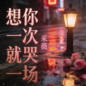 想你一次就哭一场