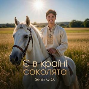 Є в країні соколята