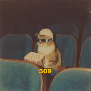 509