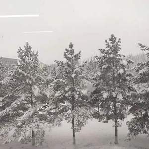 如果我不留下，你会不会跟我走?