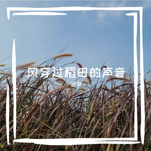 风穿过稻田的声音
