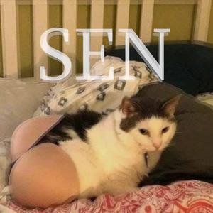 sen