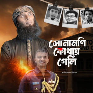 সোনা মণি কোথায় গেলি