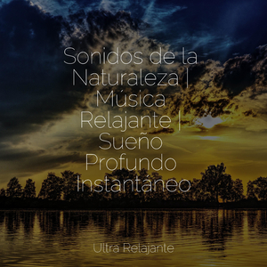 Filosofía