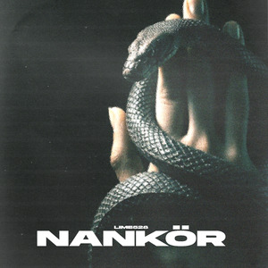 Nankör