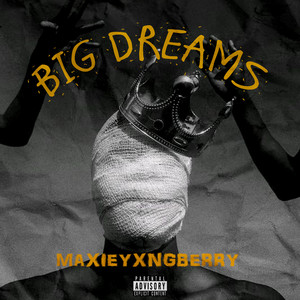 BIG DREAM$