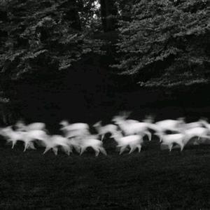 抓不住的流星L.L.L.