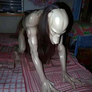PERDEDOR
