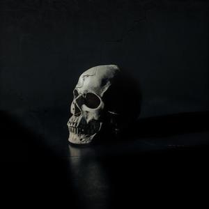 Lets get it (feat. Adalwolf & Grave)