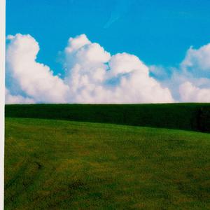 Grassfields (revisited)