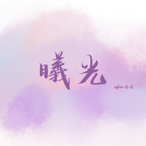 曦光（肖战应援曲）