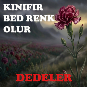 Kınıfır Bed Renk Olur