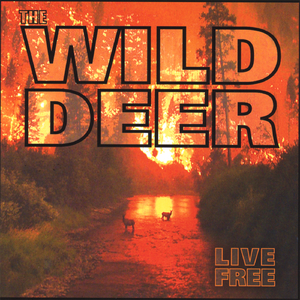 Sweet Little Marigold