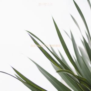 适合办公室工作奇妙的音乐