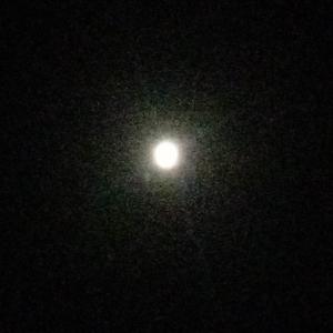 最爱的歌（Favourite Song）