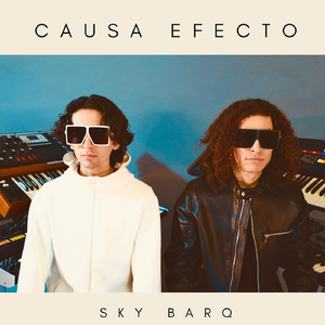 Causa Efecto