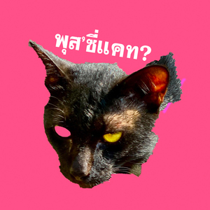 พุส'ซีแคท?