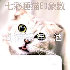 柔和的猫午睡时间时刻
