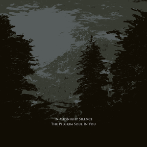 In Midnight Silence
