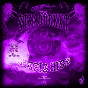 Stupid High (S & R) (feat. Dj Str8jvckxt)