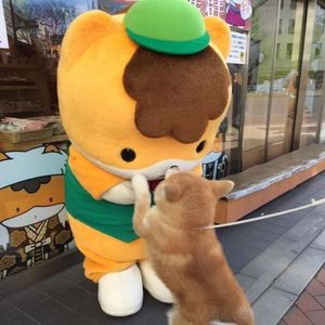 我没哭 只是不说话