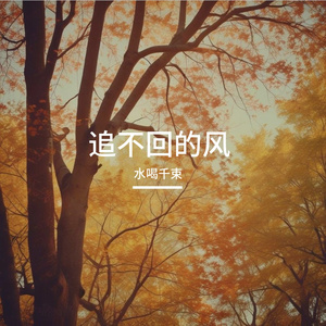 追不回的风