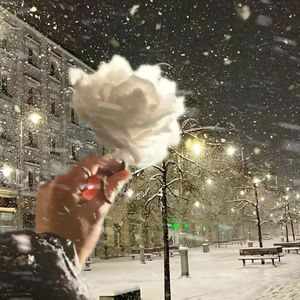 想念会化作雪
