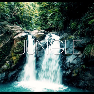 Jungle