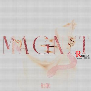 MAGNET R (Remix)