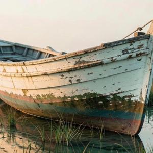 Apalachicola Waking