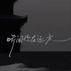 听闻你在远方
