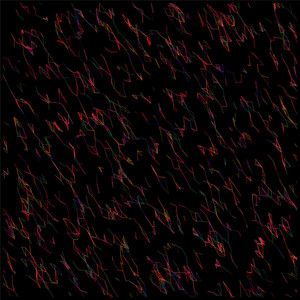 1519 [Misgolas Rapax]