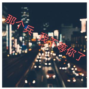 那个兵 我不等你了