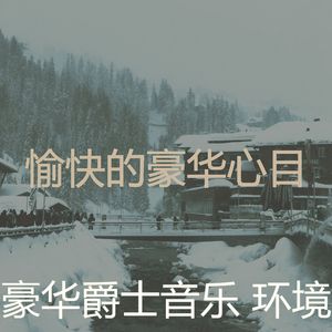 微妙的豪华心情