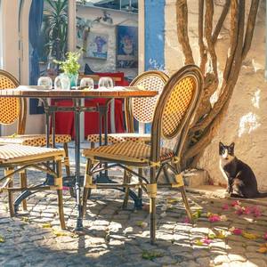 【SOLD】Ease (Demo)