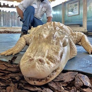 Young Dubb-Stuttering(3D 环绕版)（Salao remix）