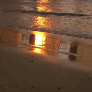 寂寞沙洲冷（翻自 群星）