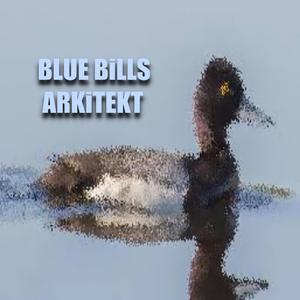 BLUE BiLLSiNSTRUMENTAL