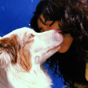 我要带你去月亮上.demo