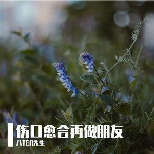 伤口愈合再做朋友 伴奏